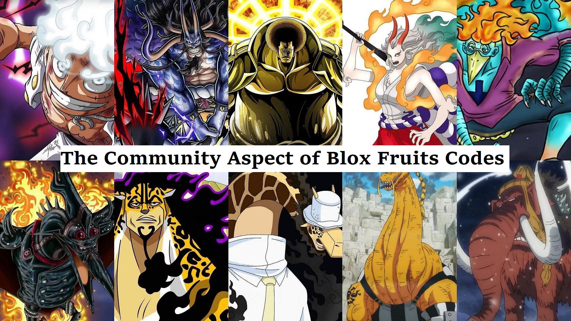 The Community Aspect of Blox Fruits Codes